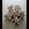 04_Wasserformen