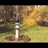 Papst_Marienstatue