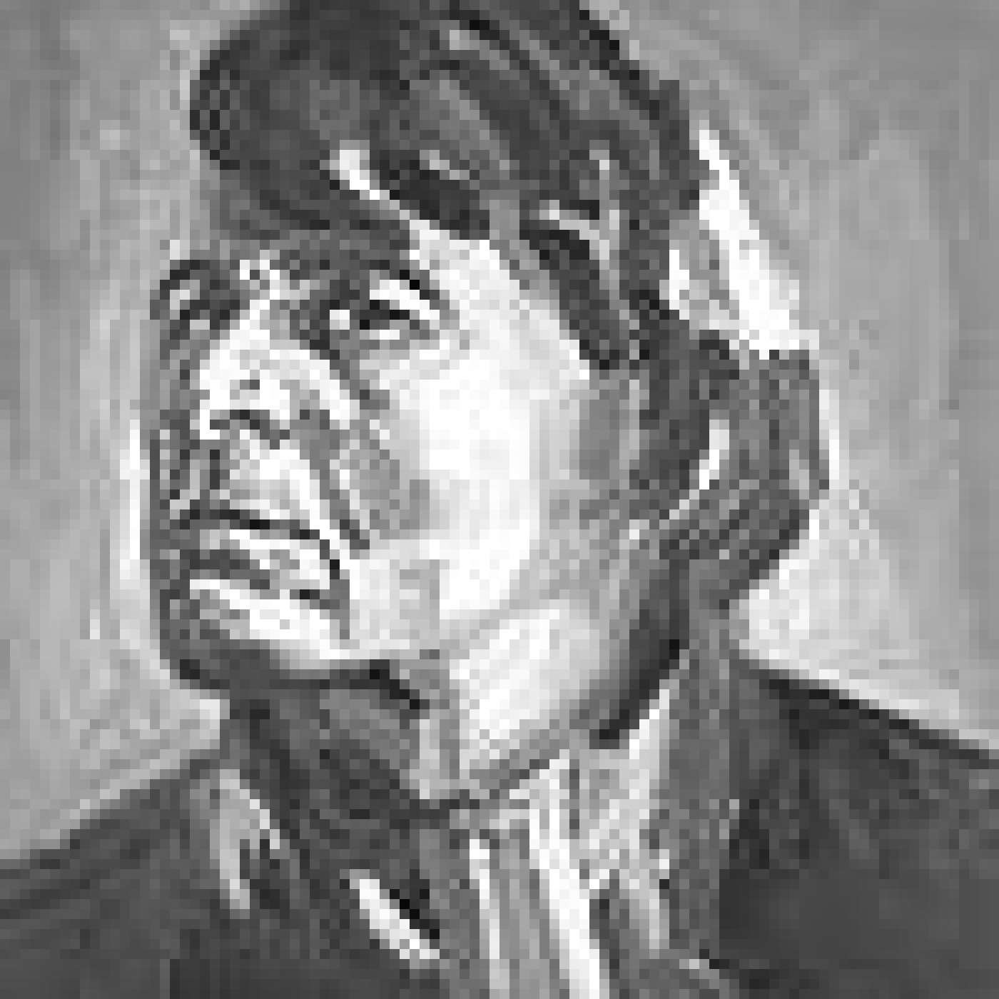 Michael Lange